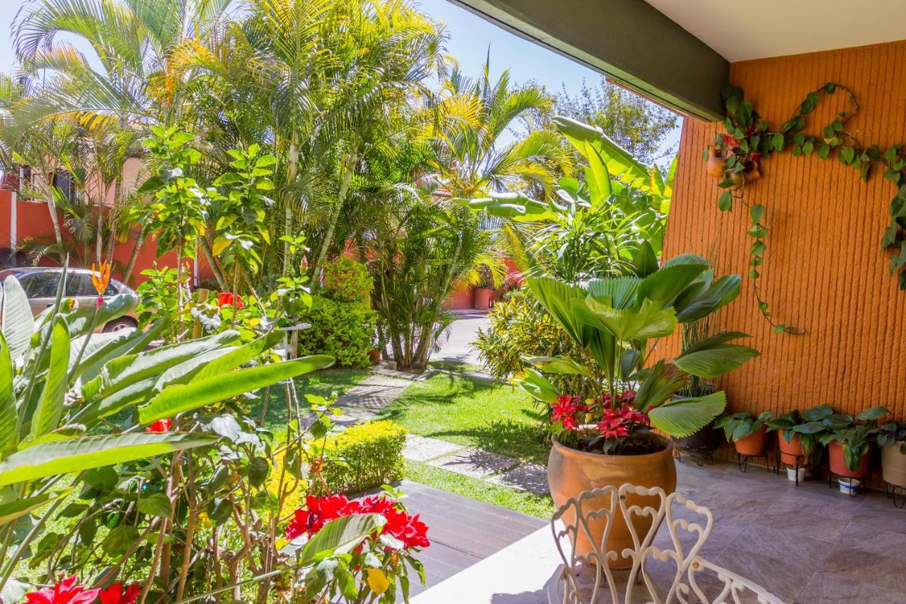 Casa De Las Palmas Guest House Oaxaca Exteriör bild