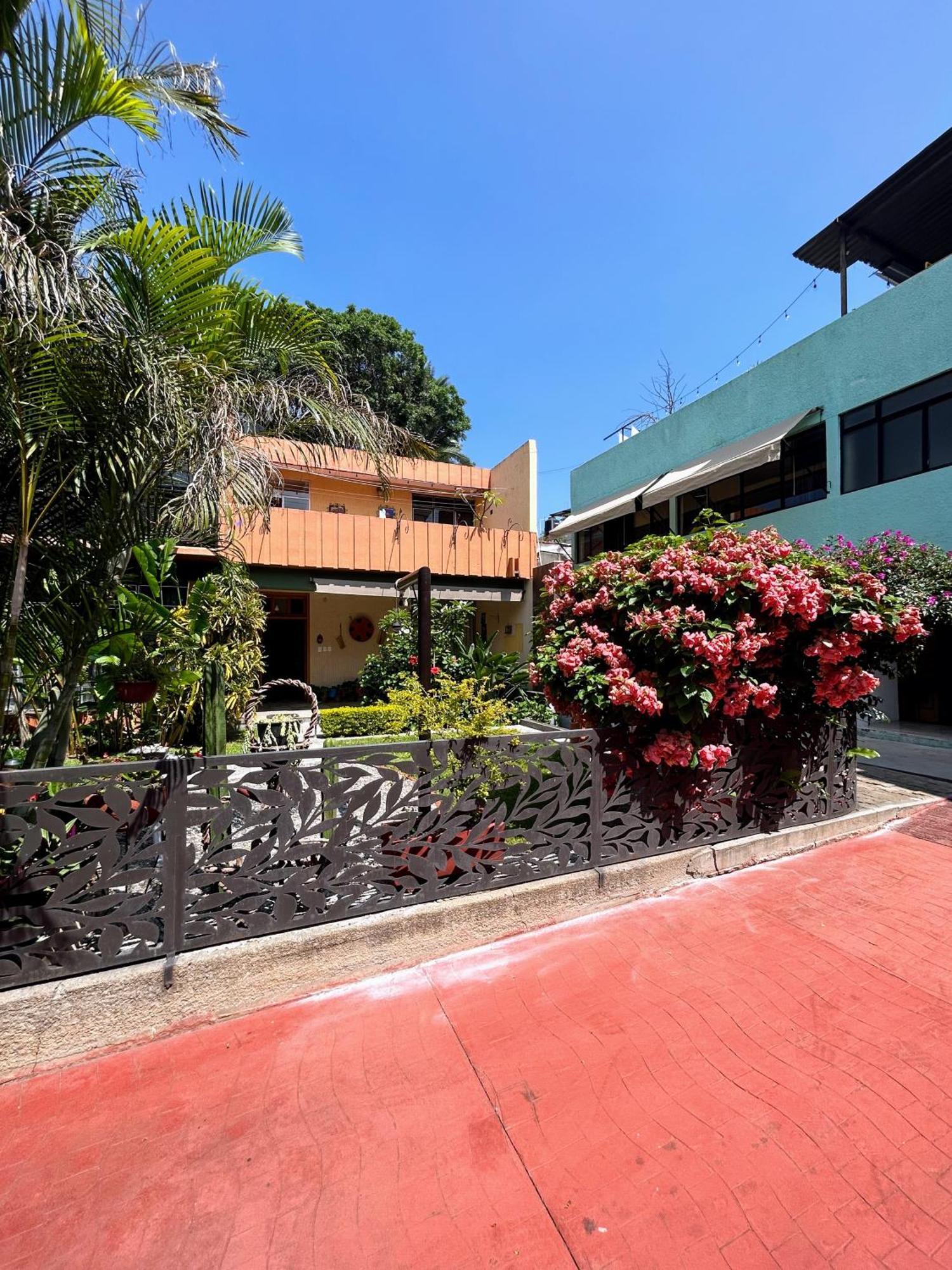 Casa De Las Palmas Guest House Oaxaca Exteriör bild