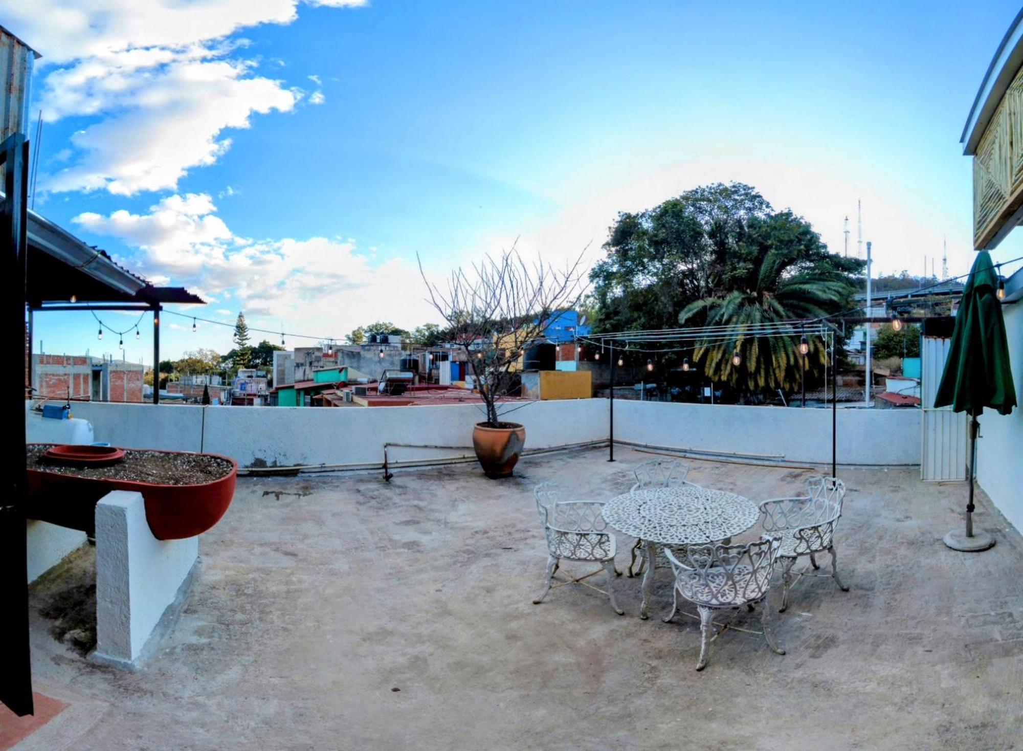 Casa De Las Palmas Guest House Oaxaca Exteriör bild