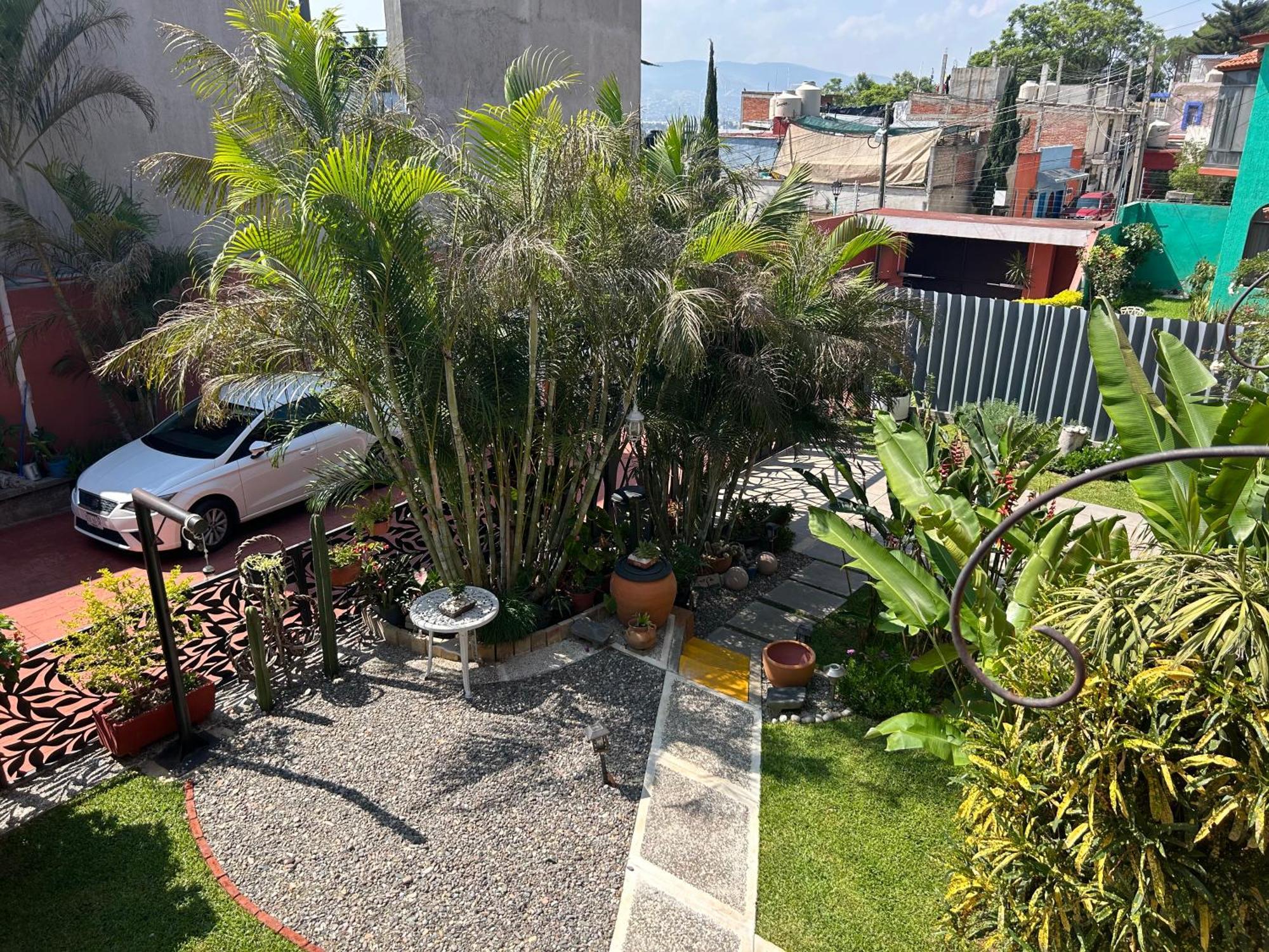 Casa De Las Palmas Guest House Oaxaca Exteriör bild